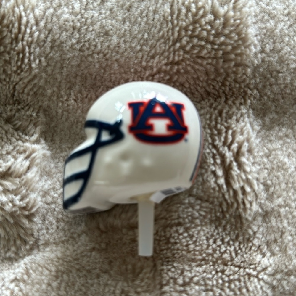 Nora Fleming Auburn helmet